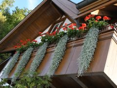 Nachbarn helfen Nachbarn